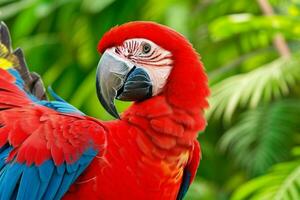 lindo vermelho arara papagaio. ai generativo pró foto