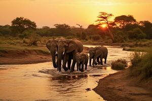 elefantes dentro Chobe nacional parque, Botsuana, África, elefantes cruzando olifante rio, noite tiro, Kruger nacional parque, ai gerado foto