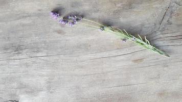 Frasz brotos de flor de lavanda em uma velha mesa de madeira foto