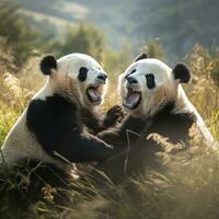dois pandas de brincadeira luta livre dentro uma gramíneo campo foto