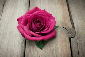 lindo rosa flor fundo. ai generativo pró foto