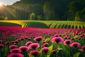 Rosa flores dentro uma campo às pôr do sol. gerado por IA foto