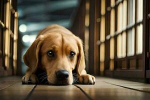 uma cachorro deitado em a chão dentro uma cadeia célula. gerado por IA foto