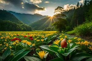 uma campo do flores com Sol brilhando dentro a fundo. gerado por IA foto