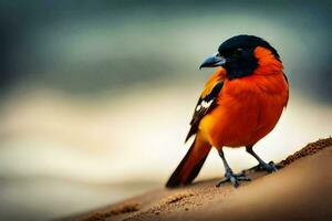 uma pequeno laranja e Preto pássaro é em pé em a areia. gerado por IA foto