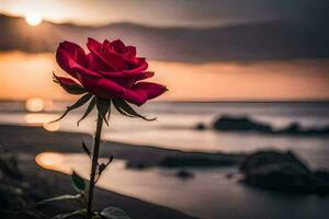 uma vermelho rosa é em pé dentro frente do a oceano às pôr do sol. gerado por IA foto