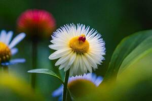 uma flor com uma vermelho Centro e amarelo pétalas. gerado por IA foto