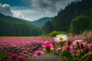 foto papel de parede a céu, flores, montanhas, a campo, a campo, a campo, o. gerado por IA