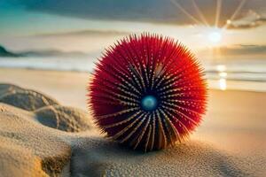 uma vermelho mar ouriço em a de praia às pôr do sol. gerado por IA foto