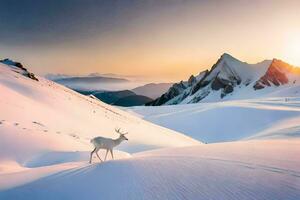 uma veado carrinhos dentro a neve às pôr do sol. gerado por IA foto