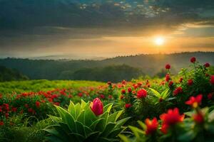 a Sol sobe sobre uma campo do vermelho flores gerado por IA foto