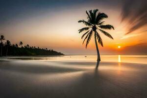 uma Palma árvore carrinhos sozinho em a de praia às pôr do sol. gerado por IA foto