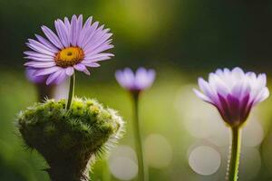 uma roxa flor é em pé em topo do uma cacto. gerado por IA foto