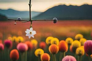 uma flor suspensão a partir de uma árvore dentro uma campo do colorida flores gerado por IA foto