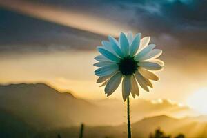 uma solteiro branco flor carrinhos dentro frente do uma pôr do sol. gerado por IA foto