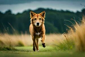 uma cachorro corrida através uma campo. gerado por IA foto