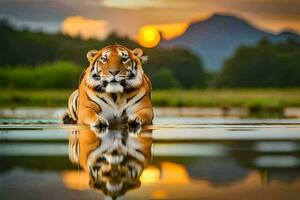 uma tigre é refletido dentro a água às pôr do sol. gerado por IA foto