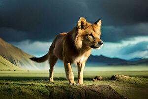 uma leão em pé em uma Colina com uma tempestade dentro a fundo. gerado por IA foto