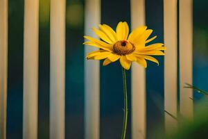 uma solteiro amarelo flor é em pé dentro frente do uma cerca. gerado por IA foto
