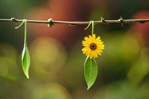 uma amarelo flor é suspensão a partir de uma arame. gerado por IA foto