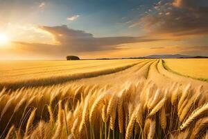 dourado trigo campo às pôr do sol. gerado por IA foto