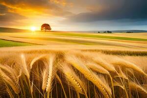 dourado trigo campo às pôr do sol. gerado por IA foto