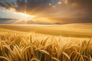 dourado trigo campo às pôr do sol. gerado por IA foto