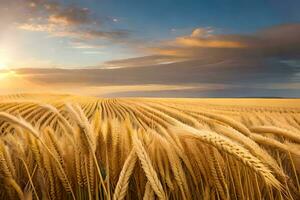 dourado trigo campo às pôr do sol. gerado por IA foto