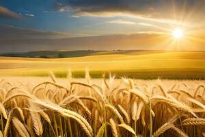 dourado trigo campo às pôr do sol. gerado por IA foto