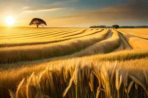dourado trigo campo às pôr do sol. gerado por IA foto