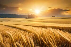 dourado trigo campo às pôr do sol. gerado por IA foto