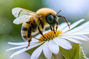 uma abelha é em uma branco flor com verde folhas. gerado por IA foto