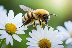 uma abelha é em pé em alguns branco flores gerado por IA foto