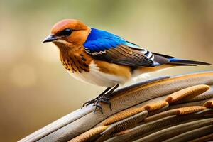 uma azul e laranja pássaro sentado em uma vime cesta. gerado por IA foto