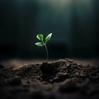 minúsculo verde plantar crescendo dentro uma seco terra, ai generativo foto