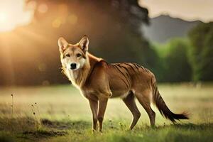 uma cachorro é em pé dentro a Relva com a Sol atrás isto. gerado por IA foto