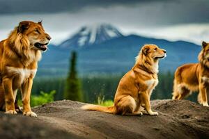 três Castanho cachorros estão em pé em uma colina. gerado por IA foto