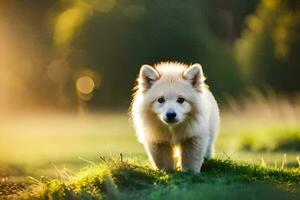 uma branco cachorro é caminhando dentro a grama. gerado por IA foto