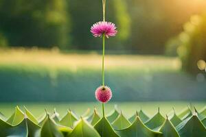 uma Rosa flor é suspensão a partir de uma videira dentro a meio do uma campo. gerado por IA foto