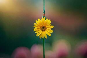 uma solteiro amarelo flor suspensão a partir de uma verde corda. gerado por IA foto