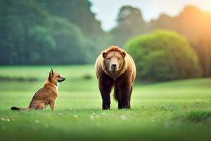 uma Castanho Urso e uma cachorro estão em pé dentro uma campo. gerado por IA foto