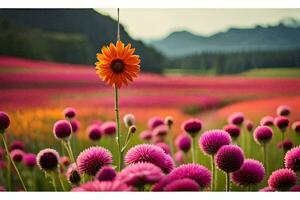 uma solteiro laranja flor carrinhos Fora dentro uma campo do Rosa flores gerado por IA foto