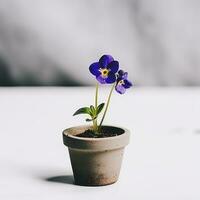 flores dentro Panela em branco fundo ai generativo foto