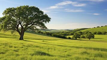 rolando colinas da natureza tranquilo abraçar, ai generativo foto