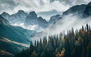 etéreo encantamento, uma cativante vislumbre para dentro a místico beleza do uma coberto de neblina floresta panorama. ai gerado foto