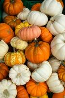 laranja e branco colori ornamental cabaças para venda dentro uma mercado foto