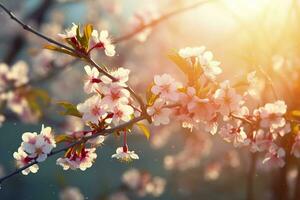 Primavera Flor fundo. natureza cena com florescendo árvore e Sol flare. generativo ai foto