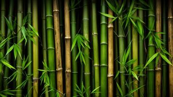 verde bambu cerca textura, bambu fundo ai generativo foto