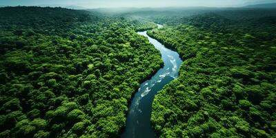 generativo ai, verde lindo amazonense selva panorama com árvores e rio, zangão Visão foto