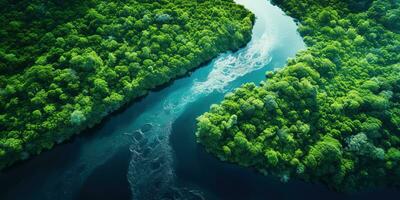 generativo ai, verde lindo amazonense selva panorama com árvores e rio, zangão Visão foto